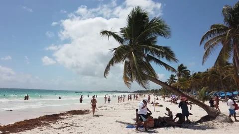Playa Paraiso in Tulum, Mexico. 스톡 동영상 173554752