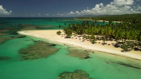 Playa-punta-popy-drone-4k-aerial-beach-palms-las-terrenas-01 Vídeos de archivo 316494985