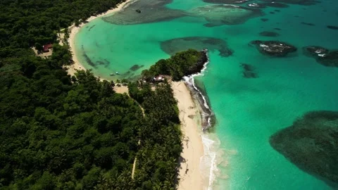 Playa-rincon-drone-4k-clean-sandy-beach-las-galeras-dominican-republic-01 Stock-Footage 315777838