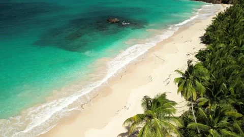 Playa-rincon-drone-4k-clean-water-tropical-paradise-beach-05 스톡 동영상 315777929