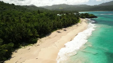 Playa-rincon-drone-4k-pristine-caribbean-sea-sandy-coast-07 Stock-Footage 315778109