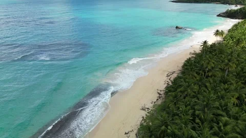 Playa-rincon-drone-4k-pristine-tropical-beach-las-galeras-01 Stock-Footage 315786904