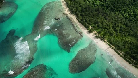 Playa-rincon-drone-4k-pristine-coastline-and-palms-15 Видео 315786905