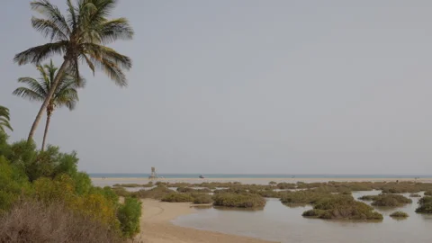 Playa Sotavento Lagoon scene Stock Footage 268979372