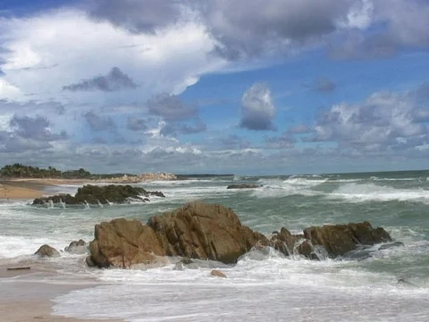 Playa Ventura Stock Footage 490145