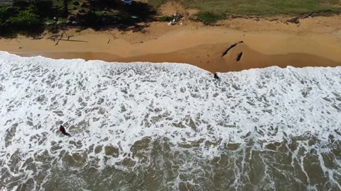Playa y palomas Stock Footage 218065583
