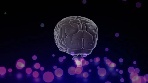 On playback start, 3D brain rotating and tilting while purple highlights Stock Footage 328225193