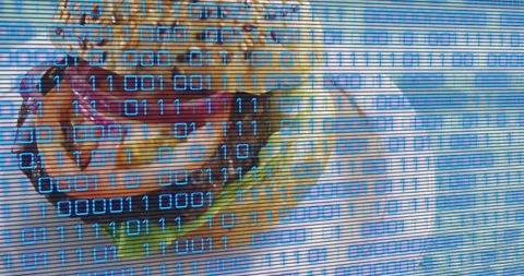 Playback starting, binary digits drifting, camera panning down right, revealing Video stock 326626369