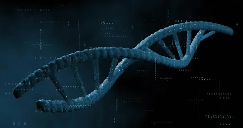 Playback starting sending blue helix rotating and shifting while bits forming to Stock Footage 328584562