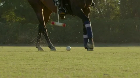 Player playing polo in the field Stock Footage 72982567