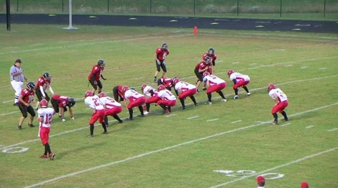 Player Scores Touchdown 03 Stock-Footage 8665556