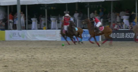 Players polo game Stock Footage 59666520