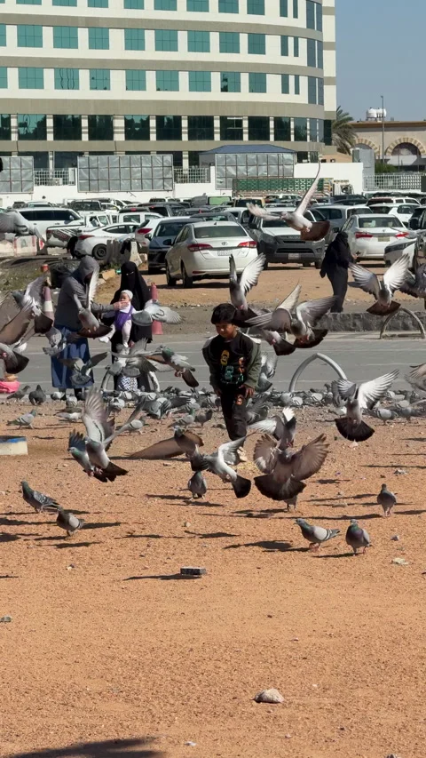 Playful Boy Scattering a Huge Flock of Pigeons Vídeo Stock 330133964