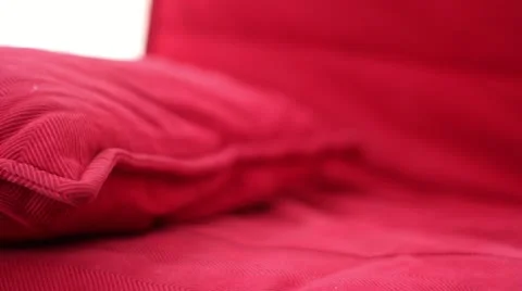 Playful Cute Cat Stock Footage 12712930