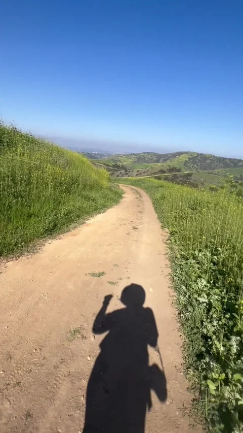 Playful Dancing Shadow on Trail Vertical Stock Footage 331830292