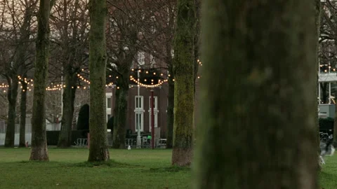 Playful dogs running and chasing each other in Amsterdam park 스톡 동영상 334779993