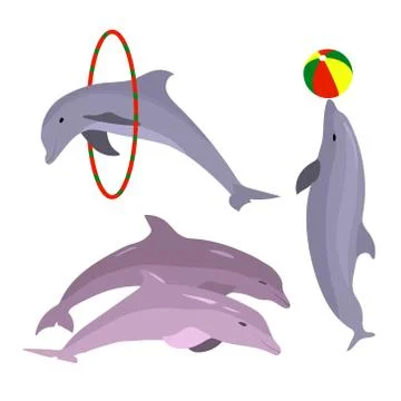 Playful dolphins Stock Illustration
