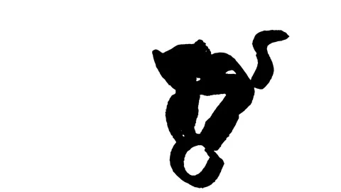 Playful doodle black cat stop motion Stock Footage 311171899