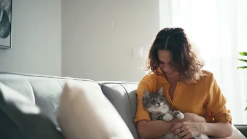 A playful fluffy cat scratching its owners face while she strokes it. Stock Footage 146158581