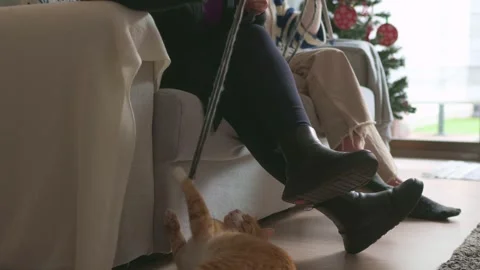 Playful ginger cat playing with yarn at christmas Stock Footage 322773767