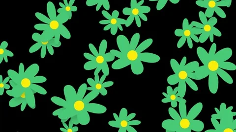 Playful Green Daisy Flowers Falling on a Black Background Stock Footage 345308191