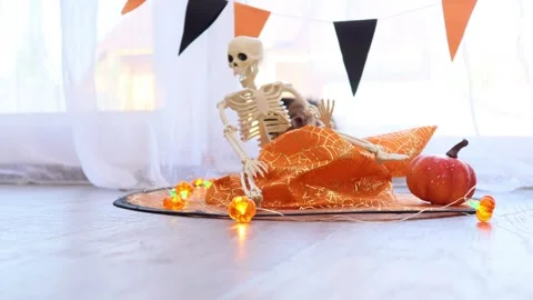 Playful Halloween kitten exploring pumpkin and skeleton decor indoors Vídeos de archivo 345259974