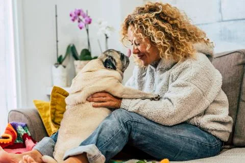 Playful happy activity at home with human woman people and funny pug dog kiss Stock Photos