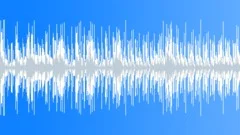 Playful House Electro - 30 seconds loop Stock Music
