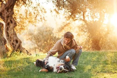 Playful interaction Stock Photos