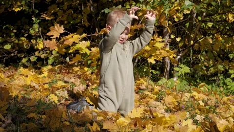 Playful Kid Is Sitting On Lawn With Fallen Leaves And Playing With Maple Leaf Vidéo 168641803