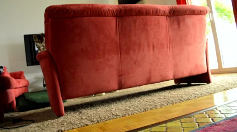 Playful kitten crouching to hunt toy indoors Stock Footage