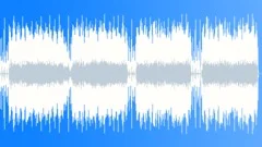 Playful Kittens Stock Music