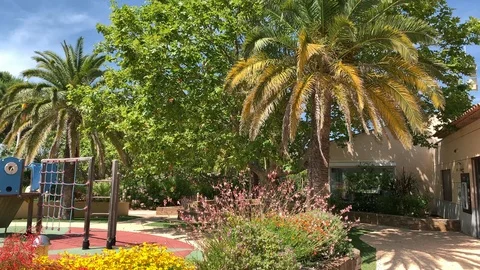 Playground around the palm trees Stock Footage 112442414