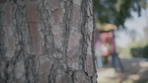 Playground exposure shot Stock Footage 115766620