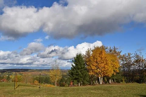 The playground in the fall Stock Photos