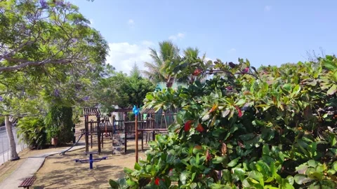 Playground Overview Stock Footage 269850756