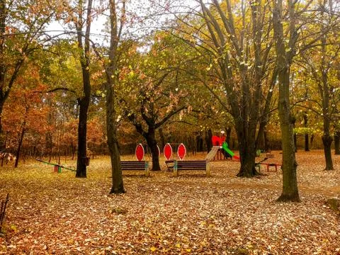 Playground in the park surrounded with forest Stock Photos