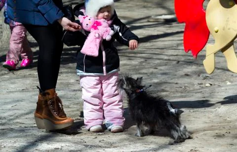 On the playground Stock Photos