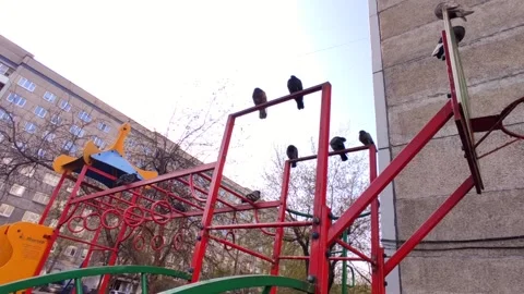 Playground on a sunny day Stock Footage 241636891