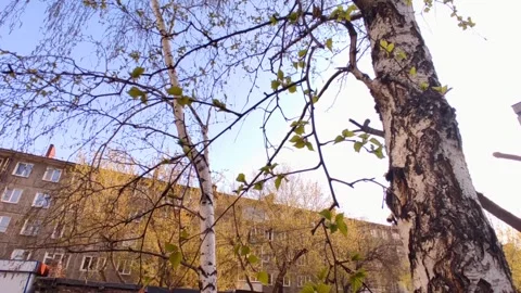 Playground on a sunny day Stock Footage 241636975