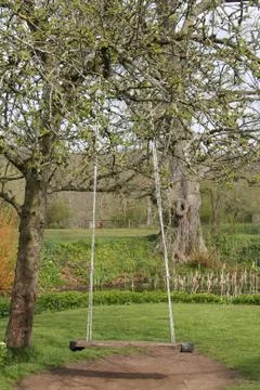 Playground Swing. Stock Photos