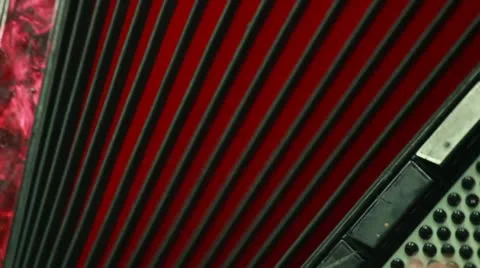 Playing in accordion Stock Footage 22152703