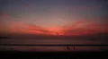Playing after sunste at the beach HD Footage