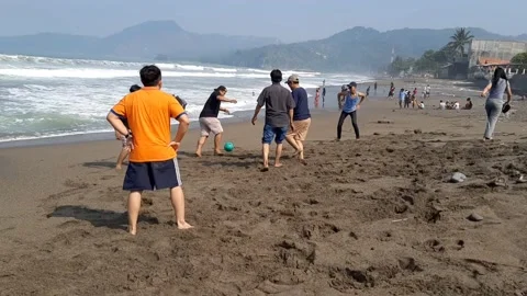 Playing ball on the beach 库存影片 218995720