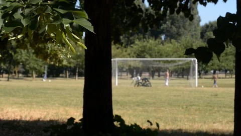 Playing ball with dad Stock-Footage 112778012