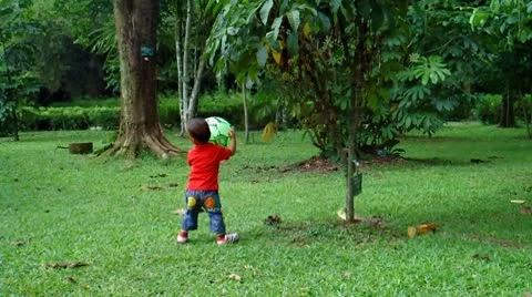 Playing Ball in the Park Stock Footage 10608325