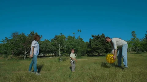 Playing Ball In Park Stock-Footage 26183039