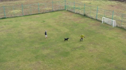 Playing with ball on soccer field Stock Footage 166548512