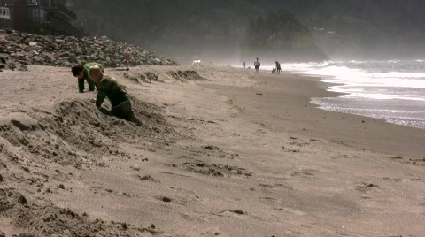 Playing on the beach Stock Footage 536536