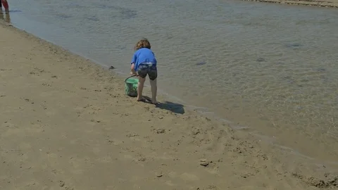 Playing on the beach 動画素材 83629153